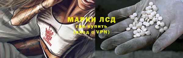 ПСИЛОЦИБИНОВЫЕ ГРИБЫ Белоозёрский