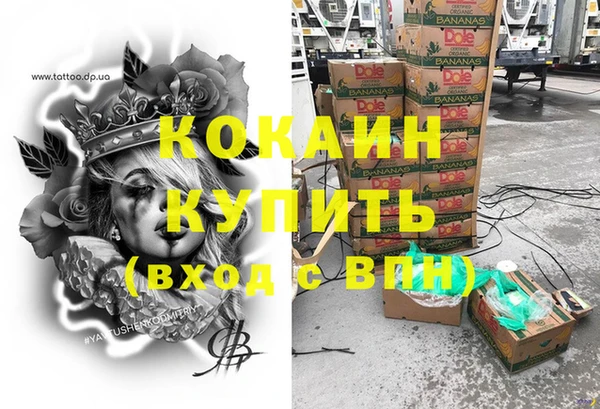 ПСИЛОЦИБИНОВЫЕ ГРИБЫ Белоозёрский