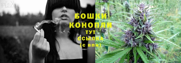 ПСИЛОЦИБИНОВЫЕ ГРИБЫ Белоозёрский